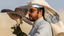 Combo Doha City and Desert Safari Tour Qatar