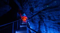 Ruakuri Cave and Hamilton Gardens Private Day Tour from Auckland