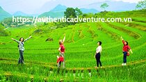 9-Day Vietnam Tour | Explore the North and Central | Top Packages