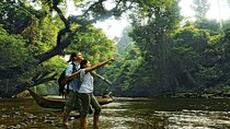 Taman Negara National Park Day Excursion from Kuala Lumpur PVT