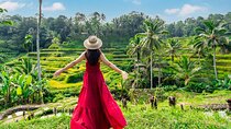 Best of Ubud Private Day Tour