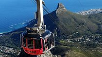 Private Guided Tour to Table Mountain and Cape Point with Penguin