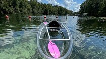 Private Crystal Clear 2 HR Kayak/Paddle Rental on Rainbow River