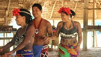 A Cultural Encounter with the Emberá Private Tour