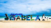 Isabela Island full visit land and Snorkel Islet Tintoreras