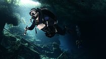 Mind Blowing Cenote Diving Experience In Playa del Carmen