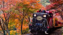Kyoto Sagano Romantic Train in Arashiyama Bus Tour