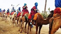 Camel Ride in Marrakech Palmeraie Oasis 