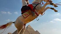 camel or horse Ride in Desert any time from Cairo or Giza hotels