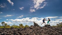 Auckland to Rangitoto Island Ferry