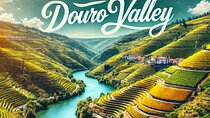 1 Day Tour to Douro Valley from Porto