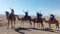 Marrakech day trip to DESERT for CAMEL ride, ATV, DINNER, SHOW 