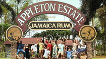 Private Tour from Montego Bay to Appleton Estate and YS Falls
