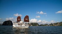 Renea Cruises - The BEST 2-Day Trip Unveil Bai Tu Long's Beauty
