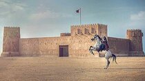 North of Qatar Tour, Zubara Fort, Mangroves, Jumail Village