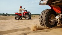 Sharm Desert Escape ATV Quad, Camel, Bedouin Dinner & Night Show