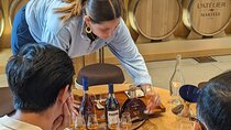From Bordeaux: Cognac private tour