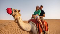 Agadir Camel Ride Tour