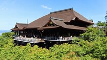 Kyoto Private Full Day Tour by Car