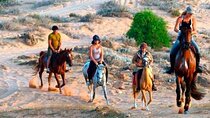 1 Hour Horse Riding in Agafay With Dinner & Transfer - Marrakesh