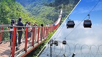 DMZ Guided tour from Seoul with Suspension Bridge or Gondola