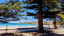 Golden Beaches and Ocean Vistas MANLY AND NORTHERN BEACHES PRIVATE TOUR