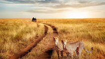 3 Days Serengeti Safari Flying From Zanzibar or Dar Es Salaam