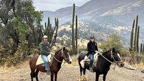  Private Andes Horse Riding with Cheese and Wine. Near Santiago
