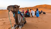 4 Days Private Tour to Moroccan Safari and Desert 