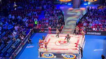 Lucha Libre and Tacos Experience