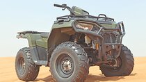 Desert Safari with Quad Bike, Camel Ride, Sand Surf, BBQ & Shows