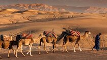 Marrakech: Quad & Camel Ride with Sunset, Dinner & Show