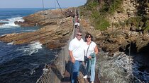 1 Day Garden Route Tour from Port Elizabeth to the Crags