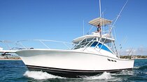 Explore 4H of Private Deep Sea Fishing in Punta Cana