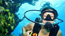 Two Dives and Class for Begginers Divers in Cancun