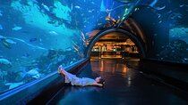 Aquaria and AR Trick Eye Museum Tickets in Phuket 