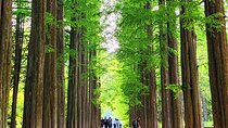  Private Tour Nami Island & Morning Calm Garden