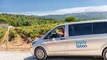 Private Tour: Arrábida Day Trip from Lisbon Including Wine Tasting