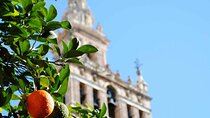 Seville Easy. 2 Tours : Historic and Jewish Quarter + Triana