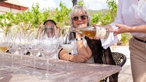 Private Wine Tasting at Winery Near Barcelona