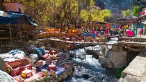 Full-Day Trip to Ourika Valley from Marrakech