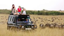 Top Rated 3 Day Masai Mara Safari – Game Drives and Scenic Views