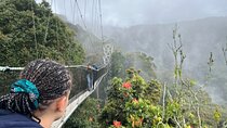 1 Day Nyungwe Canopy Walk & Waterfall Adventure