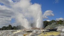 Small Group Waitomo and Rotorua including Te Puia Tour