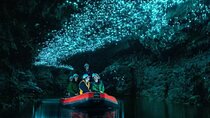 Waitomo Spellbound Glowworm Caves Small Group Tour from Auckland