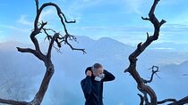 3 Days and 2 Nights in Bromo Madakaripura and Ijen Blue Fire Tour