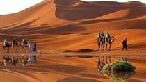 Zagora Desert 2-Day Private Tour From Marrakech to the Sahara