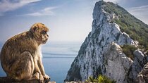 Guided Tour from Seville Discovering Gibraltar