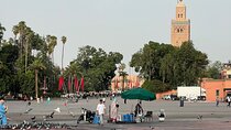 Marrakech Shopping Tour and Night Life