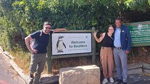 Table Mountain, Cape of Good Hope, Penguins and Sightseeing tour